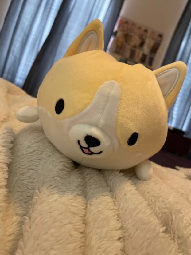 cute corgi plush pillow